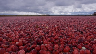 Fruit d'Or gets 'health maintenance' claim in Canada for cranberry seed oil
