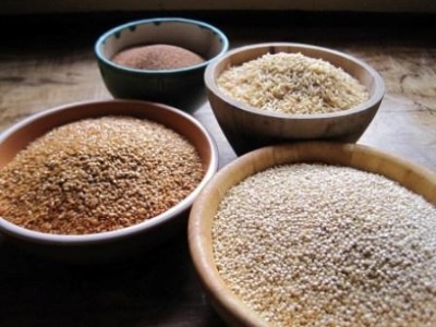 Supergrains! Why quinoa, farro, chia and amaranth should be in every formulator's toolkit