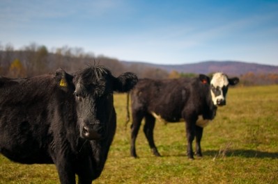 The task force aims to grow wholesale beef demand by 2% annually over the next five years