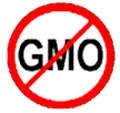 Californian GMO labeling: What would it mean for food companies?