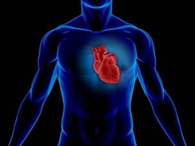 Emerging heart health ingredients