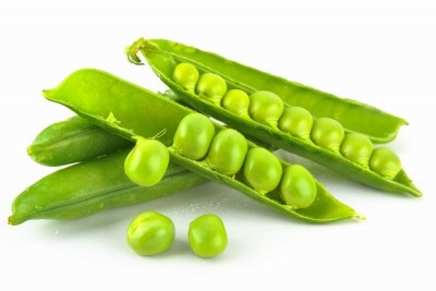Fenchem ramps up production of pea protein