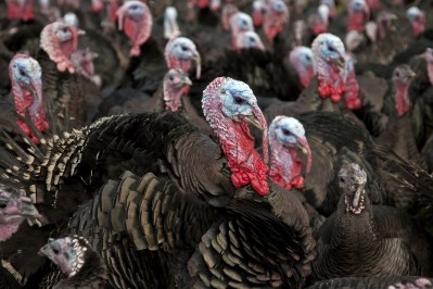 The outbreaks have been seen predominately in turkeys and egg laying birds