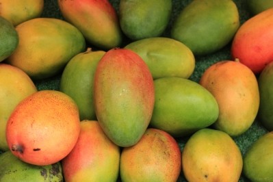 Senegal is ready to supply US mangoes