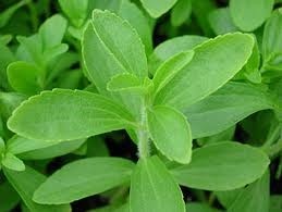 Stevia 2020, from Reb-A to Reb-X: Blends of new glycosides, ingredients from fermentation contribute to increasing complexity of market