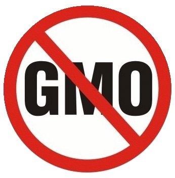 Professor: What exactly is this mythical ‘pristine’ alternative to GMOs that presents no risks? 