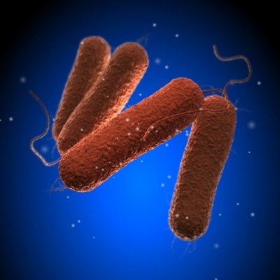 Researchers have used bacteriophages to destroy salmonella cells