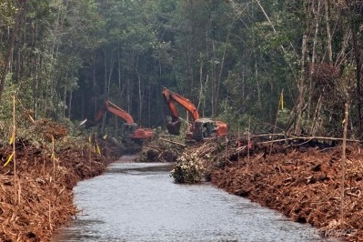 Industry hiding behind the RSPO, which is falling short of protecting forests, says Greenpeace. Photo Credit:Ulet Ifansasti