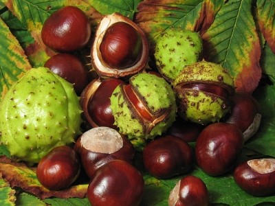 General Mills has looked closely at the carbon structures of salt-enhancing compounds, one example being horse chestnut