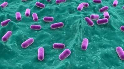 “The finding that gut microbes modulate serotonin levels raises the interesting prospect of using them to drive changes in biology,