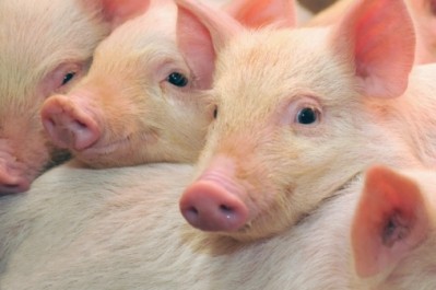 The price of Canadian pork exports increased, despite a decline in overall exports
