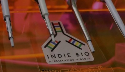 IndieBio offers $250,000 to startups in cultured meat, eggs, milk