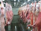 US body queries hygiene status of Australian imported meat