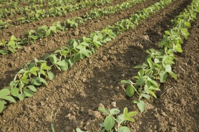 Monsanto herbicide glyphosate ‘probably carcinogenic to humans’, IARC