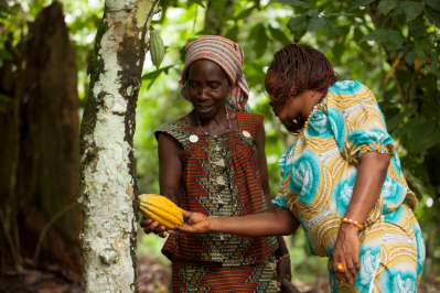 Mars Incorporated's new sustainability bond will help improve the lives of cocoa workers in its value chain. Pic: Mars Incorporated 