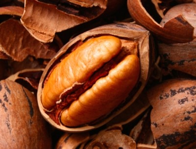 Study shows whole pecans cut cardiometabolic risk factors in older, overweight adults