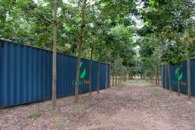 Cricket One: “We have compacted a 100sq m traditional cricket farm into a 40ft climate-controlled container for raising crickets.