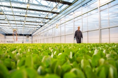 Local Bounti sees indoor farming as the future of produce growing: 'The consumer is just not going to go backwards'