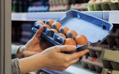 Drop in egg price drives down dollars sales in dairy for August 2023, Circana finds
