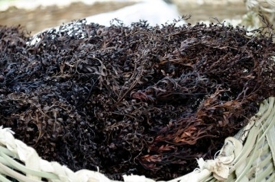 Carrageenan can continue to be used in organic products despite opposing NOSB vote, USDA says