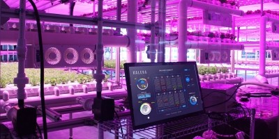 Kalera ramps up indoor vertical farming footprint and scale in 2022