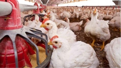 Tyson Foods steps up sustainability efforts with Environmental Defense Fund partnership