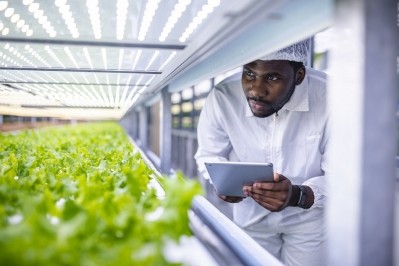 Agtech startup Koidra raises $4.5m in seed funding to advance greenhouse and precision agriculture growing methods