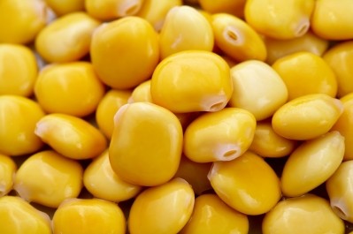 Protein Industries Canada ramps up lupin production for plant-based product development