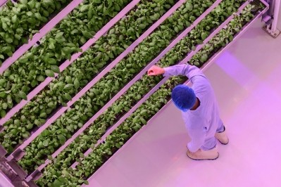 Fresh research out of Scandinavia is questioning vertical farming’s sustainability performance, suggesting the technology is too energy-intensive and responsible for higher greenhouse gas (GHG) emissions than open-field cultivation. GettyImages/JohnnyGreig
