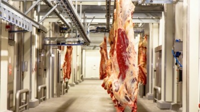 Total domestic US meat and poultry production could hit the highest level this millennium 