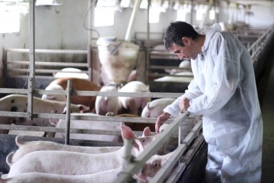 African Swine Fever concerns outlined by veterinarian