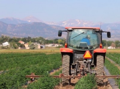 Vantage Hemp has been testing biomass from farmers in Colorado and elsewhere.  Vantage Hemp photo.