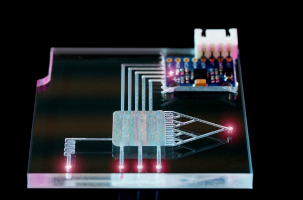 A microfluidic chip platform used for biological studies