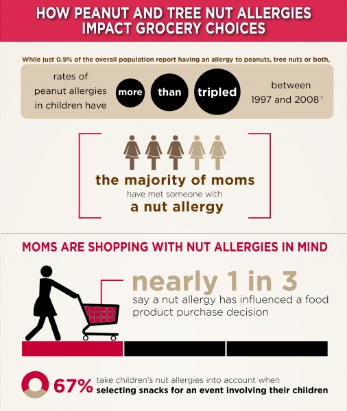 Rich's Nut Allergy Ecosystem Infographic