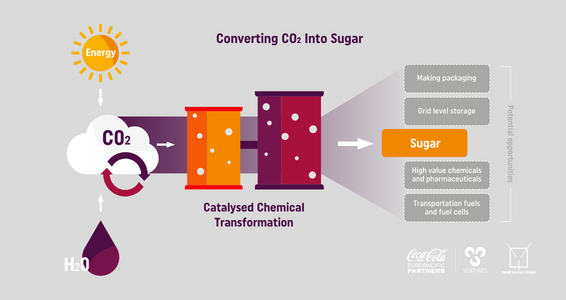 ccept converting co2 into sugar