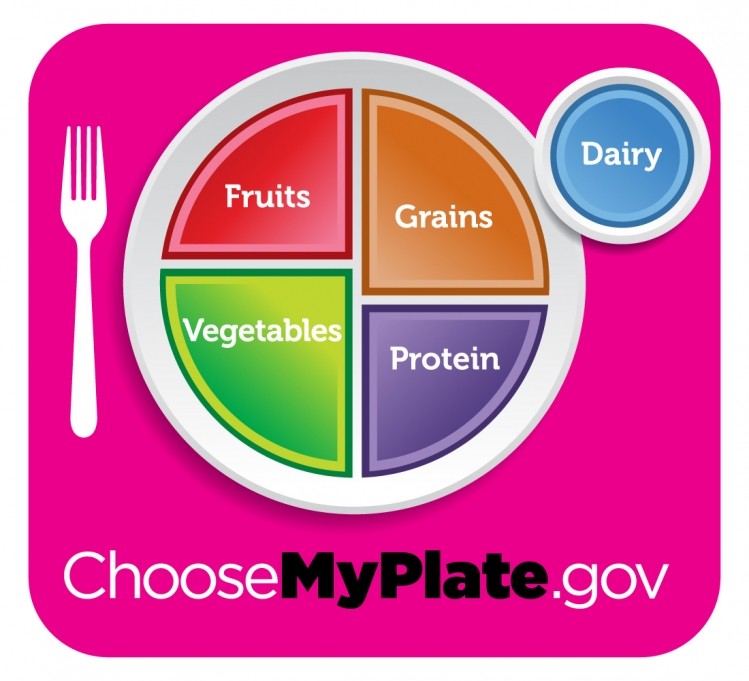 Protein is a nutrient, whereas the other segments of the plate represent food groups