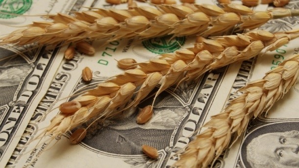 Going organic requires considerable financial investment. Photo: iStock - zoran simin