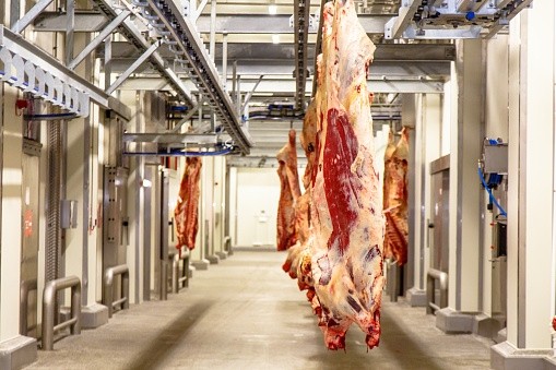 Canada has faced questions from US auditors over carcass inspection protocol