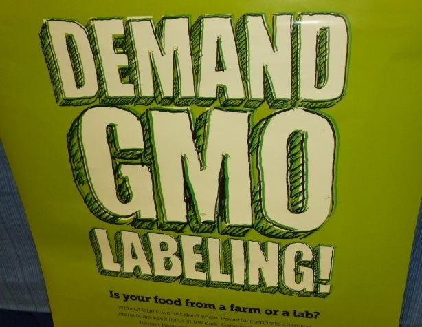 GMO labeling: How vulnerable is Proposition 37 to a legal challenge?