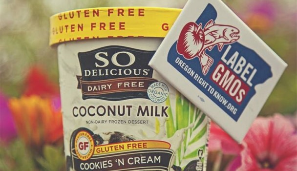 'Gluten-free is what everyone talks about, but it’s our belief that dairy free is one of, if not the biggest growth opportunity in food right now'
