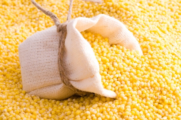 Millet processing needs to be up-scaled for industry, finds review