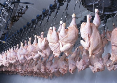 Pilgrim's said it was 'excited' by GNP Company's poultry production expertise 