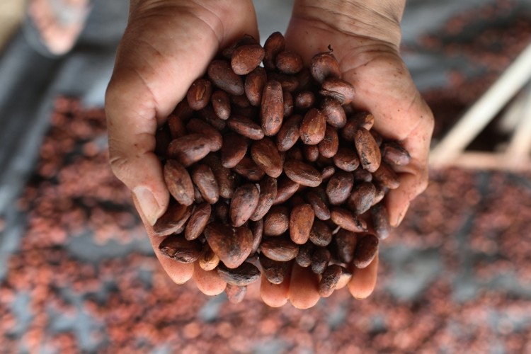 In 2014, Fair Trade Certified cocoa imports grew 42%  Source: Fair Trade USA