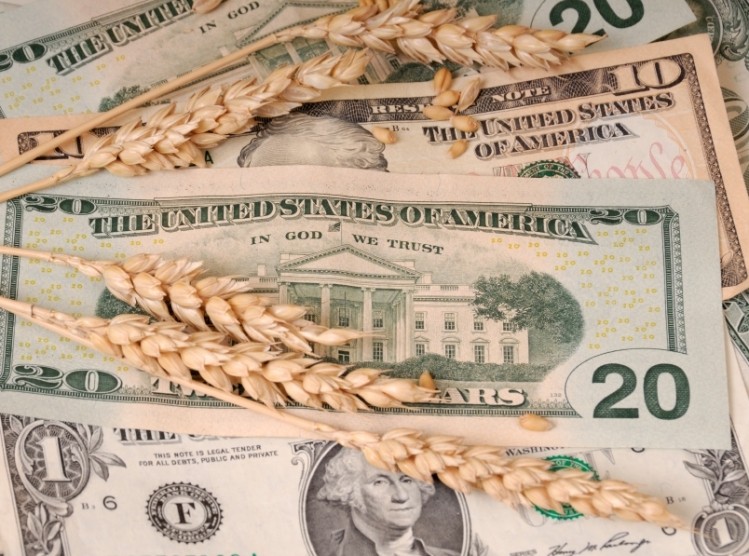 Food prices could fall slightly in 2012, says USDA
