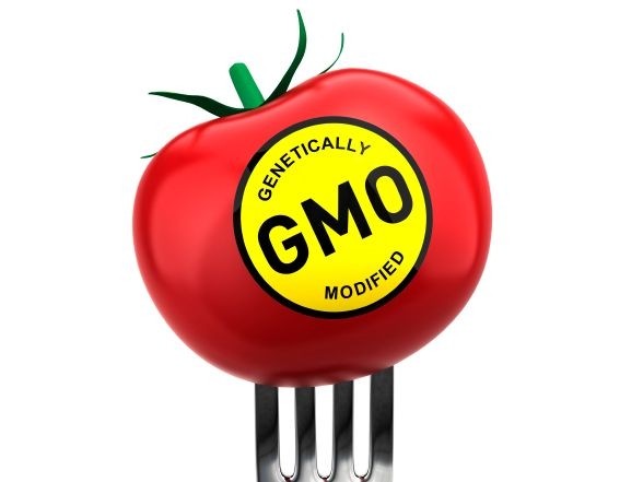 Rep. Pompeo's bill specifically prohibits mandatory labeling of foods developed using bioengineering, giving sole authority to the FDA to require mandatory labeling on such foods if they are ever found to be unsafe. 