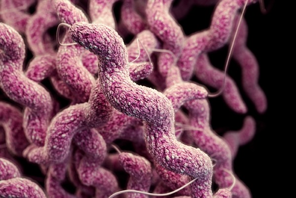 Antibiotic-resistant infections are becoming more common