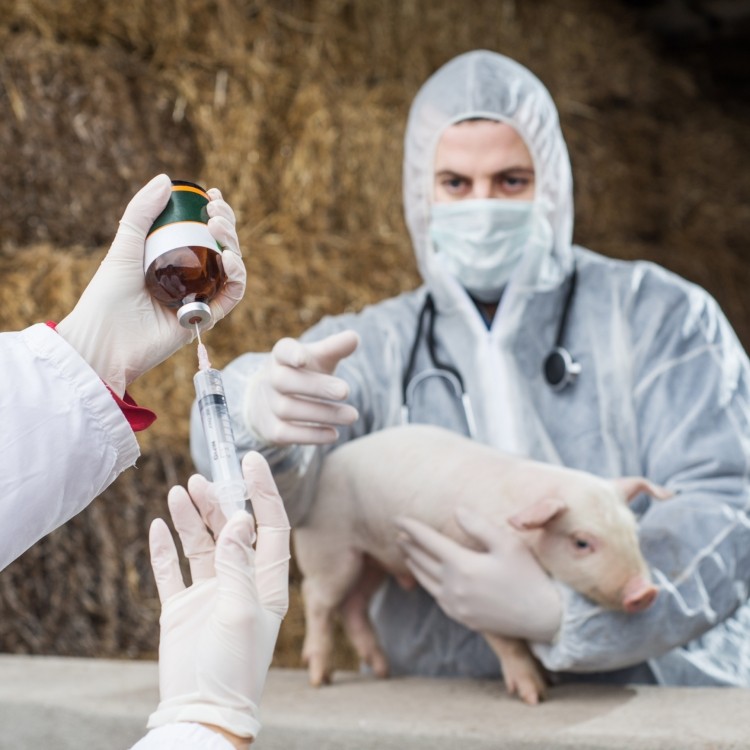 The National Pork Board is implementing a plan of action focused on antibiotic use