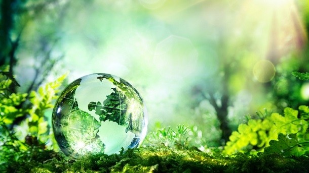 Sustainability is back on consumers' radar, says  Claudia Strauss at research agency Future Thinking