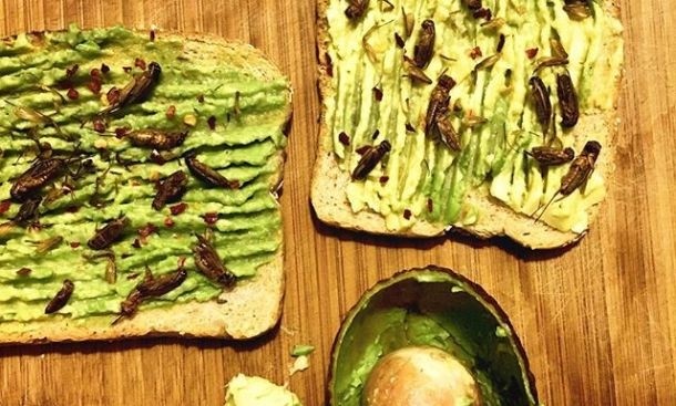 Crispy crickets and avocado smash on toast with red pepper flakes (picture: Aspire Food Group).  