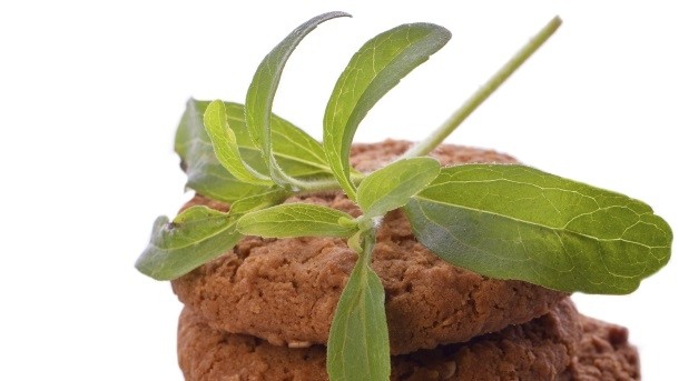 GLG manufactures stevia and monk fruit sweeteners. Photo: iStock - schmaelterphoto